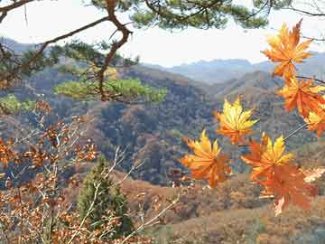 安徽太湖縣剿匪紀(jì)實(shí)
